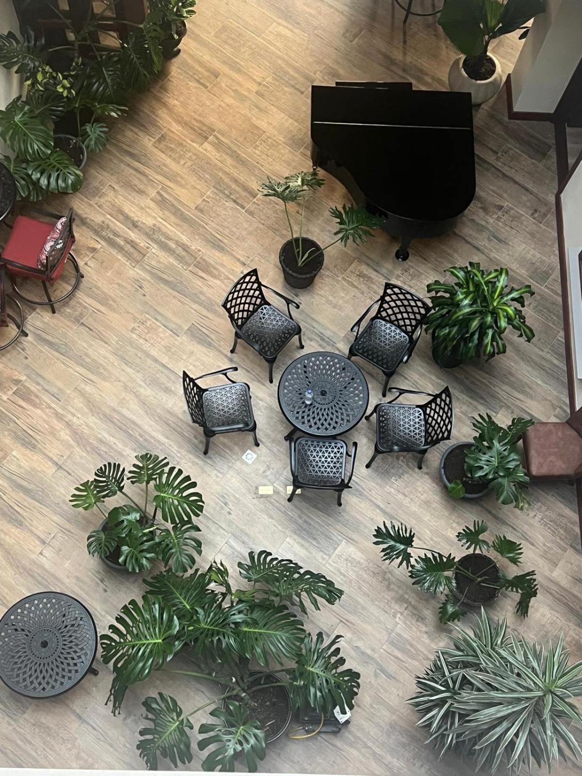 Wr Boutique Hotel Jardín Eksteriør billede
